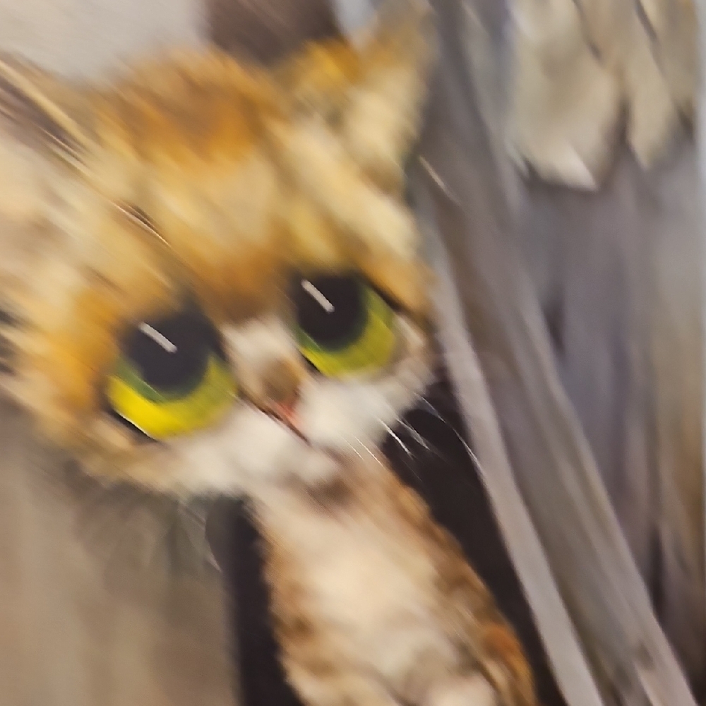 VTG Brown Tabby Cat Art Print  "Pitty Kitty" - Litho Print - Picture 12 of 12